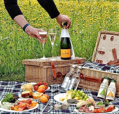 Salon Concert picnic