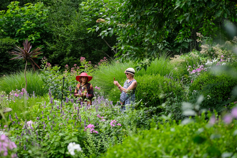 Progressive Garden Party, July 31, 2021